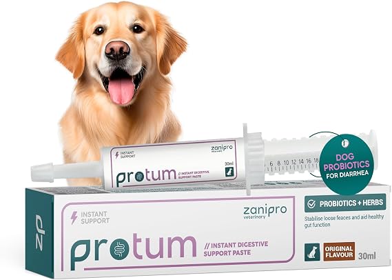 Protum Probiotic Paste for Dogs - 30ml Advanced Prebiotic Formula for Digestive Support - Tasty Flavour for Canine Gut Health - Aids Digestion, Diarrhea Recovery, and Wellness