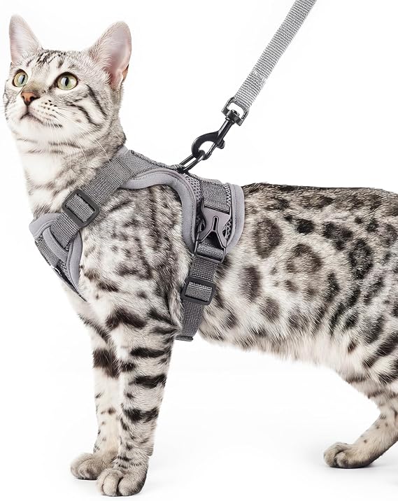 Cat Harness and Leash Set, Escape Proof Cat Vest, Grey, M