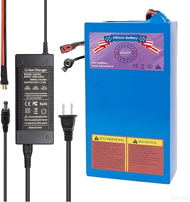 48V 20Ah Lithium Ebike Battery for Electric Bicycles & E-Motorcycles BMS Protection, T-Plug Compatible with 200-1200W E-BikeMotorcycleScooter48V20Ah with Charger