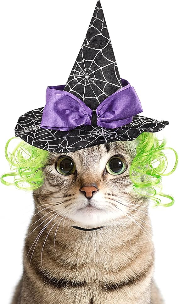 LESYPET Cat Halloween Costume Hat Dog Hat, Wizard Hat with Green Wig for Dog Cat Cosplay for Halloween, Christmas, Party