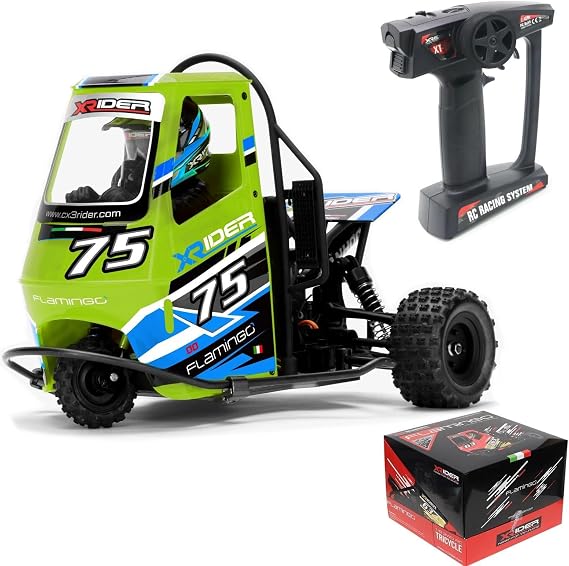 HTLNUZD 1/8 RC X-Rider Flamingos 2.4G 3WD 2 in 1 ESC High Speed Rc Car Electric Tricycle Motorcycle Tricycle RTR Drift Adult Vehicles Collection Model (Green)