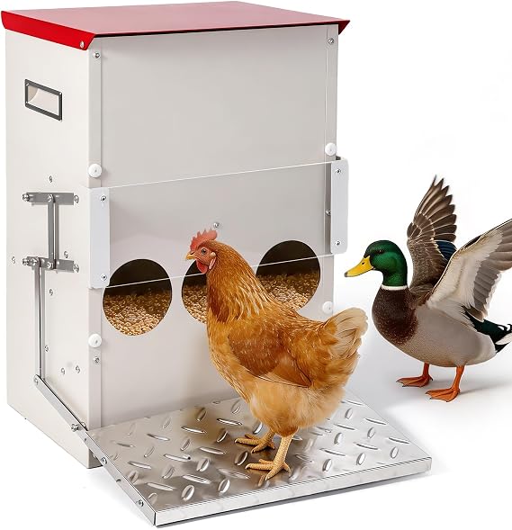 25LB Automatic Chicken Feeder No Waste Metal Gravity Poultry Feeder Treadle Feeder 3 Feeding Ports with Lid, Weatherproof Galvanized Chicken Food Dispenser for Ducks, Goose, Turkey