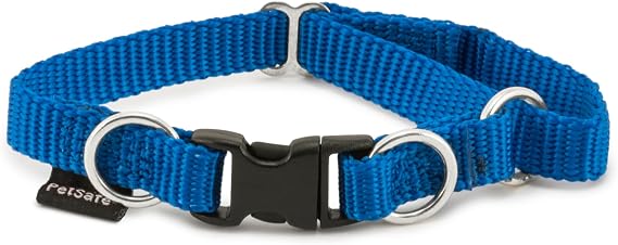 PetSafe KeepSafe Break-Away Dog Collar, Royal Blue, 3/4 in Wide, Small