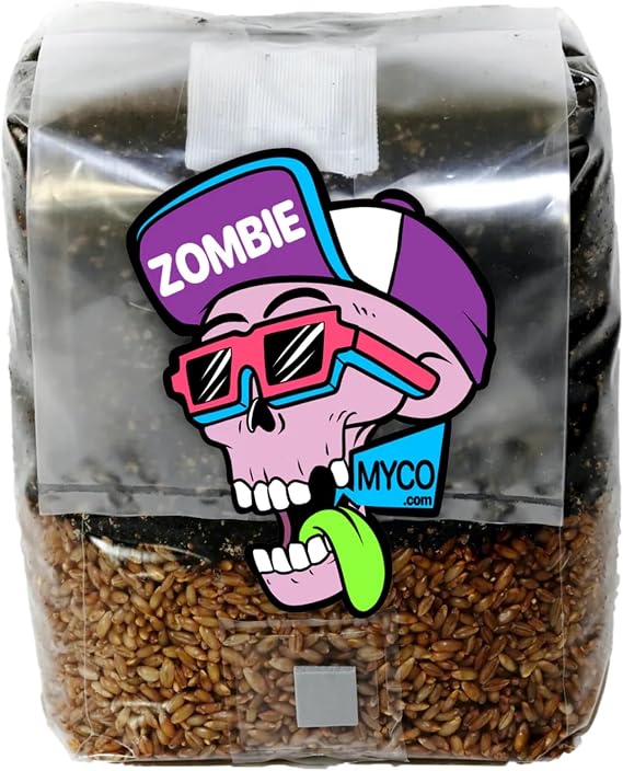 All-in-One Mushroom Grow Kit (1-Pack) 3lb Mini Bags with Sterilized Grain and CVG Substrate, Injection Ports Included, for Growing Mushrooms at Home (Spores Not Included)
