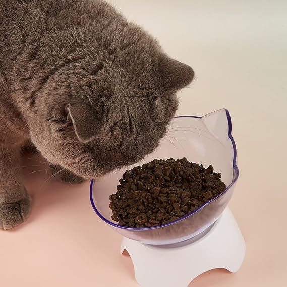 Elevated Pet Dog Bowl Cat Transparency Bowl with Non-Slip Base Pets Water Food Feeder Suitable for Medium, Small Dogs and Cats (Transparent)