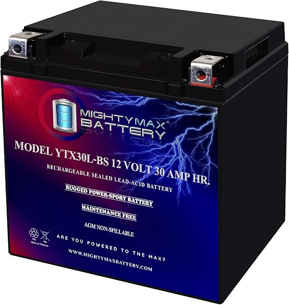 Mighty Max Battery YTX30L-BS 12V 30AH Battery for Polaris Ranger