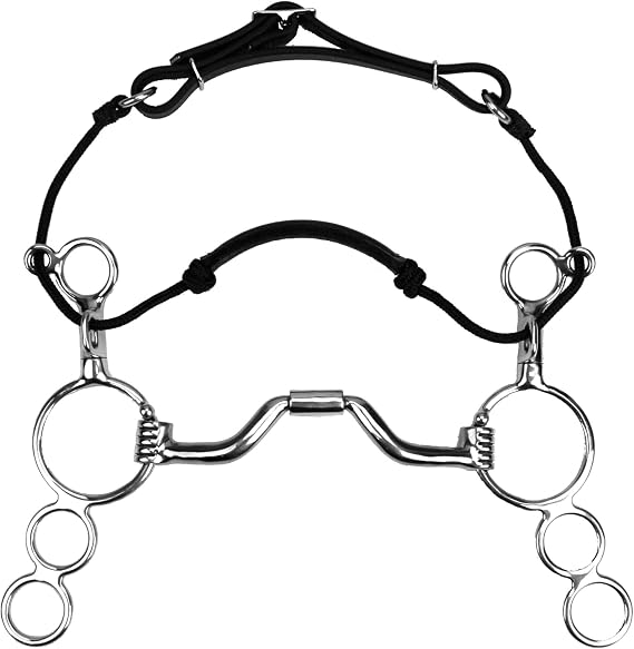 Myler 3-Ring Combination Bit - 6" Shank with Sweet Iron Ported Barrel MB 33