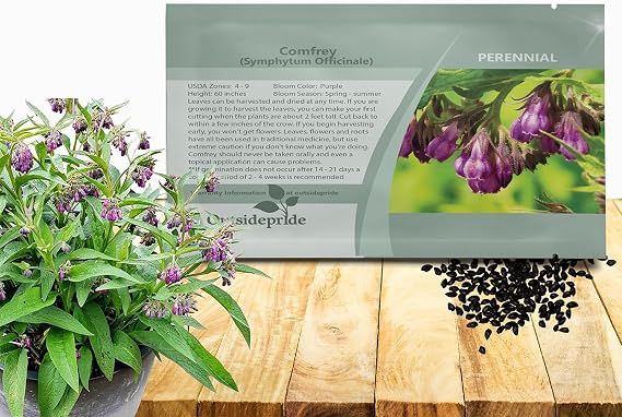 Outsidepride Comfrey Seeds - 100 Pcs. Perennial, Drought-Tolerant & Low Maintenance, Herb Seeds for Planting Tall, Vibrant Bell-Shaped Purple Blooms for Versatile Uses & Pollinator Gardens