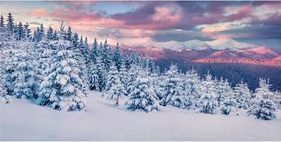 YongFoto Winter Snow Scene Fish Tank Background 48x18 inch Snowfield Pine Forest Rime Sunglow Rosy Clouds Polyester Backdrop Reptile Terrarium Aquarium Bearded Dragon Habitat Background