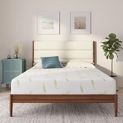 NapQueen Twin Size, 8 Inch Anula Green Tea Infused Memory Foam Mattress, Bed in a Box, CertiPUR-US Certified Mattress