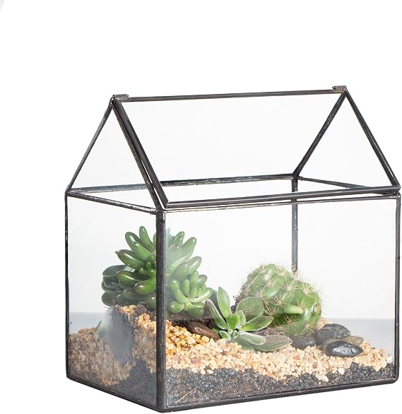 NCYP Small 6.1" x 6.3" x 4.33" Glass Terrarium Box with Lid for Succulent, Air Plants - House Shape Closed Geometric Planter Pot - Home Garden Tabletop Decoration, Black (No Plants)