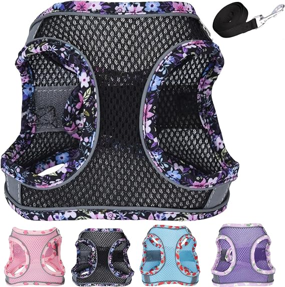 Petank Dog Harness for Small Medium Dogs No Pull, Puppy Harness and Leash Set, Mesh Adjustable Breathable Light Vest for Walking, Running, Training. (Black, XS)