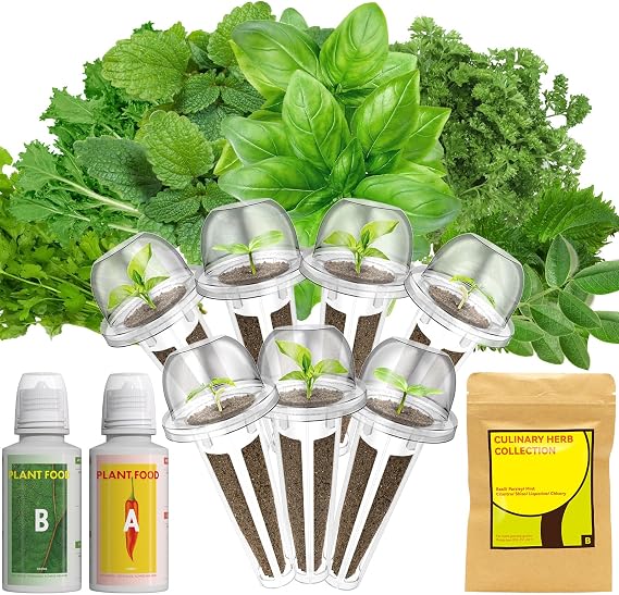 LYKOCLEAN 7 Pods Herb Seed Pod Kit Compatible with AeroGarden, iDoo, Ahopegarden, GARDENCUBE Hydroponics Growing System, 350+ Seeds with Basil, Parsley, Mint, Cilantro