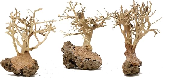3X Mini Aquarium Tree 3BS (3.5 Inch Height) Natural, Handcrafted Fish Tank Decoration | Easy to Install,3.5 inch (Pack of 1)