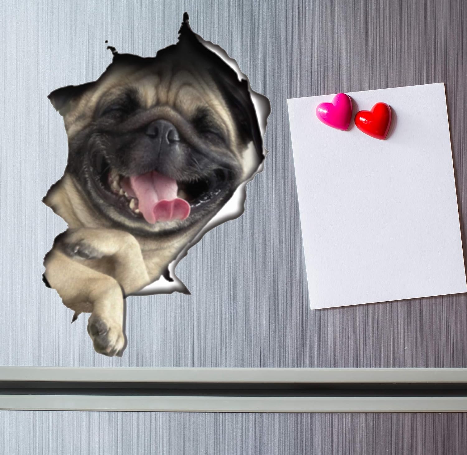 Winston & Bear 3D Dog Stickers - 2 Pack - Laughing Pug Decals for Wall - Stickers for Bedroom - Fridge - Toilet - Room - Retail Packaged
