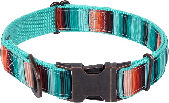 Country Brook Petz - Signature Sedona Stripes Ribbon Dog Collar - We Donate to A Shelter with Each Purchase (1 Inch, Large)