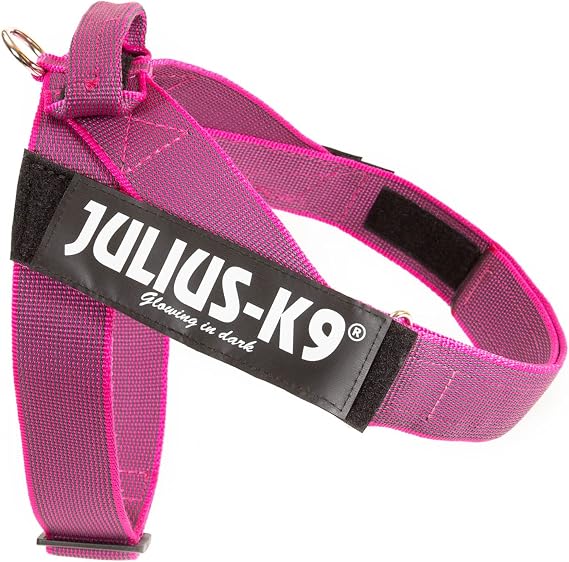 Julius-K9 IDC Color & Gray Belt Harness, Size: XL/2, Pink-Gray