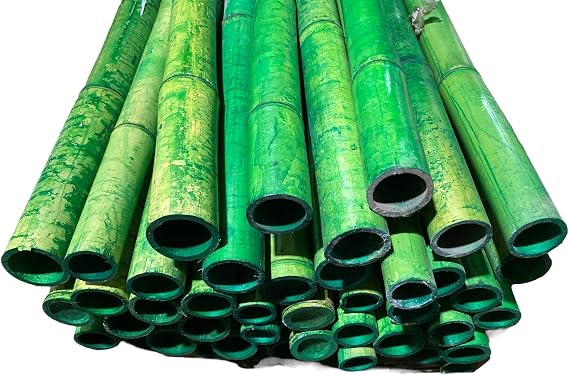 6 Feet Long Natural Thick Bamboo Poles - 1.5in - 2in Wide - Pack of 2 (Green)