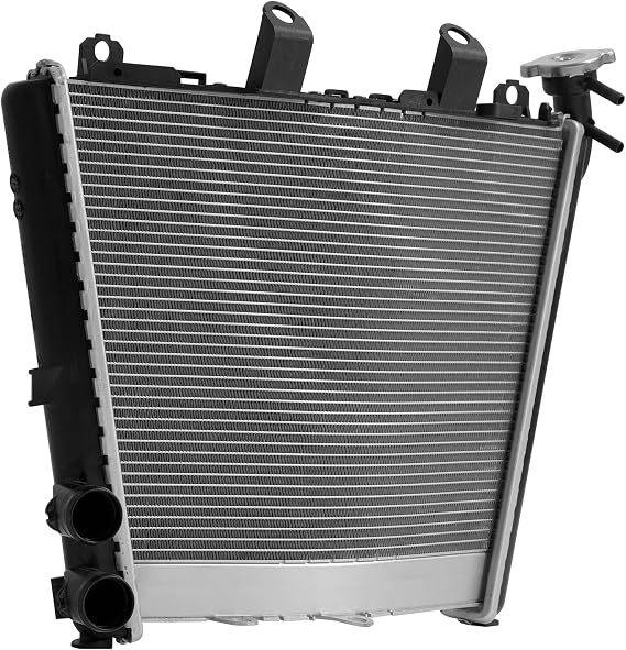 TCT-MOTORPARTS Radiator Cooler Fits for BMW M1000RR S1000R 2021-2025 S1000RR 2019-2025 S1000R 2021-2025