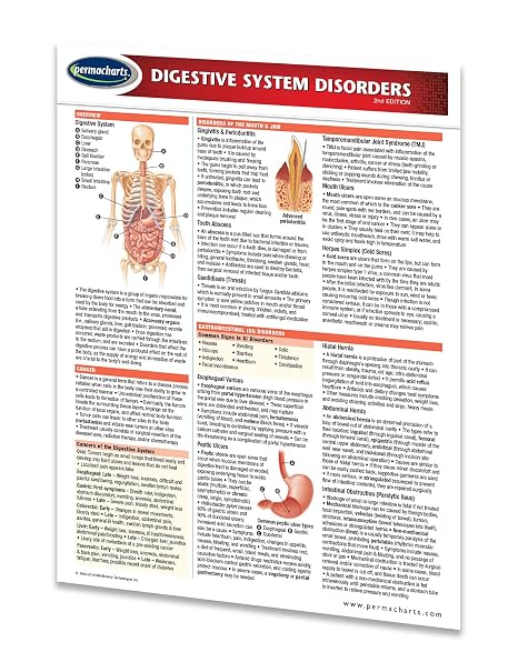Digestive System Disorders - Medical Quick Reference Guide by Permacharts