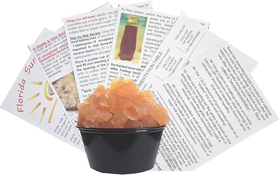Large Portion Cup with 33% More Live Natural Water Kefir Grains