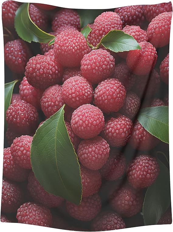 Lychee Blanket - Gifts for Lychee Lovers 50" x 60"
