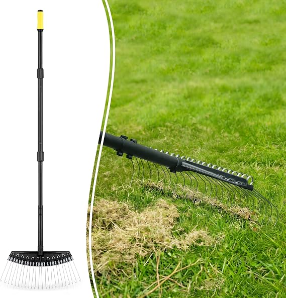 Colwelt Thatch Rake, Dethatcher Rake with Thin, Curved Spring Steel Tines, Dethatching Thatching Rake for Lawns with 61 Steel Handle, Lawn Tine Rakes for Pine Needles, Dead Grass, Garden Debris
