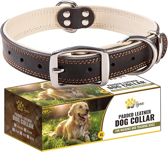 ADITYNA Heavy-Duty Black Leather Dog Collar for Large Dogs - Soft Padded for Comfort - Large Dog Collar for Walking, Training, and Hiking
