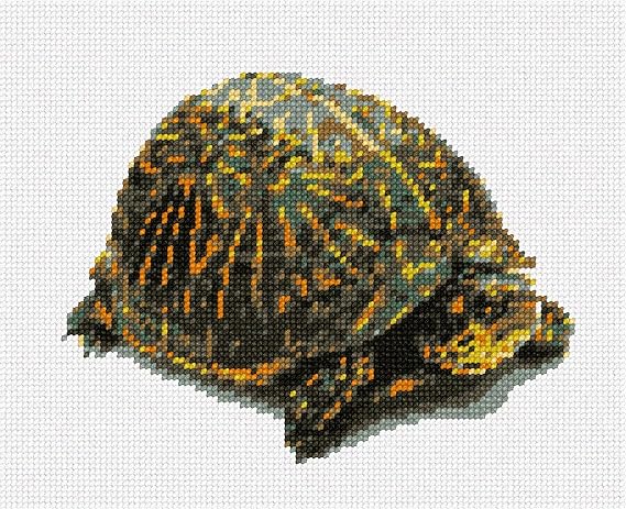Pepita Needlepoint kit: Box Turtle, 12" x 10"