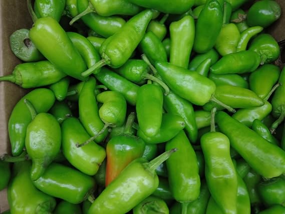 Fresh Organic Jalapeno Peppers by RawJoy Farms, 1 lb