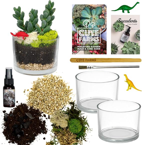 Cute Farms Glass Terrarium Kit | Just Add Your Own Plants (Two Glass Cylinders (3.25"))