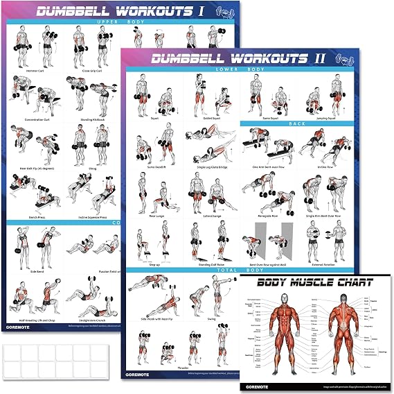 goremote Dumbbell Workout Poster Set (2 Pack) for Home Gym Exercise | Volume I & II - 18" x 24" with Enlarged Dumbbell Exercise Charts Illustrations, Home Gym Decor