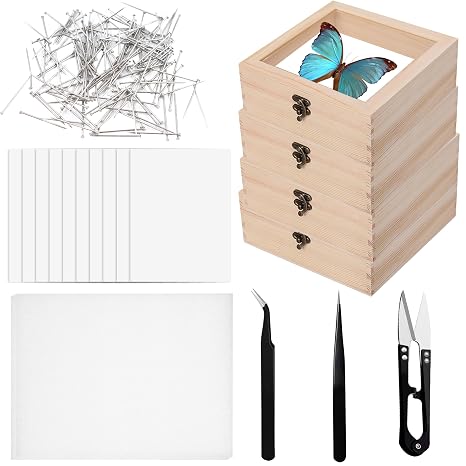 20 PCS Insect Specimen Tools Kit 4 Wooden Display Case Box with Clear Top 10 Sheets Thin Tracing Paper 2 EVA Foam Pinning Board 200 Pins 2 Tweezers 1 Scissors Tools for Winter Bugs Collection