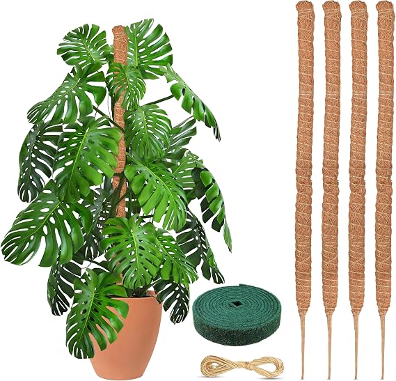 EcoNour Moss Pole for Plants 25 inches (4 Pack) | Monstera Plant Support for Plant Climbing and Growth | Elevate Your Indoor Garden, Plant Support for Indoor Potted Plants to Grow Upwards
